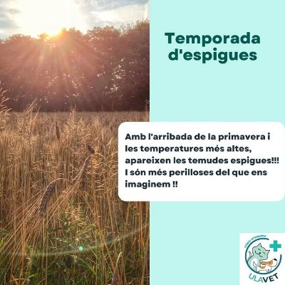 Photo by ULAVET Clínica Veterinària on May 20, 2022.