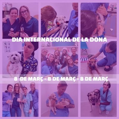 Photo by ULAVET Clínica Veterinària in San Pere de Ribes with @ursula.cabis, @alisoneta, and @mariaaguerrondo. May be an image of pet.